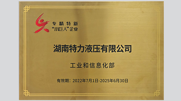 國(guó)家級(jí)專(zhuān)精特新“小巨人”企業(yè)